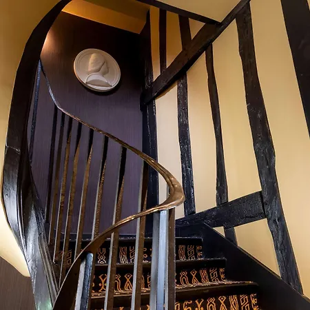 Bersolys Saint-germain